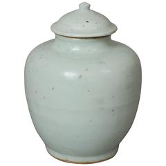 Ming Dynasty Porcelain Vase 10