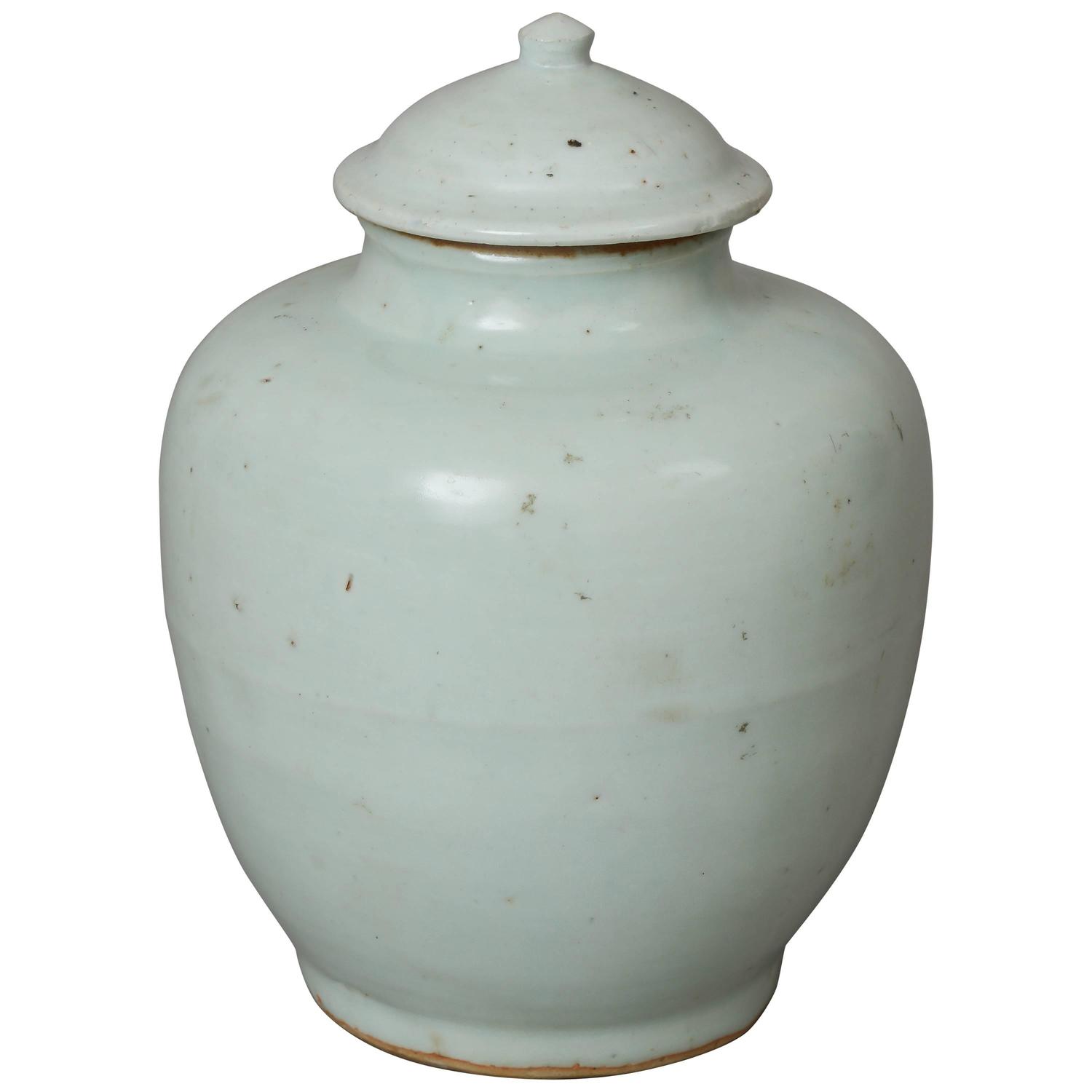 Ming Dynasty Porcelain Vase For Sale at 1stdibs
