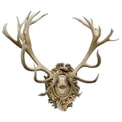 19th Century Habsburg Red Stag Trophy from Eckartsau Castle with Original Plate