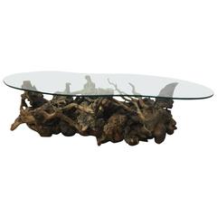 Organic Modern Root Based Coffee Table