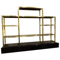 French Brass and Blank Glass Shelving Unit