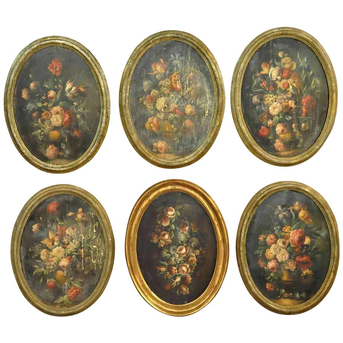 Outstanding Set of Six Italian 18th Century Floral Still Life Paintings