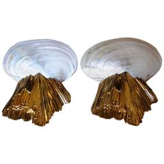 One of a Kind Marine Appliques by Nanda Vigo and Annibale Oste