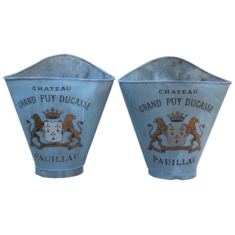 French Zinc Grape Hods, 19th Century Antique For Sale at 1stDibs