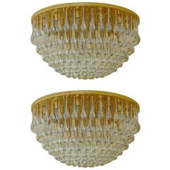 Pair of Chandelier by Venini in Cristal, circa 1950