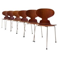 Teak Ant Chairs 3100 Arne Jacobsen for Fritz Hansen, Early 1960s