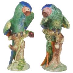 Pair of Mid-Century Italian Terra Cotta Parrots