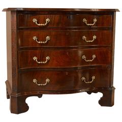 English Mahogany Serpentine Small Chest