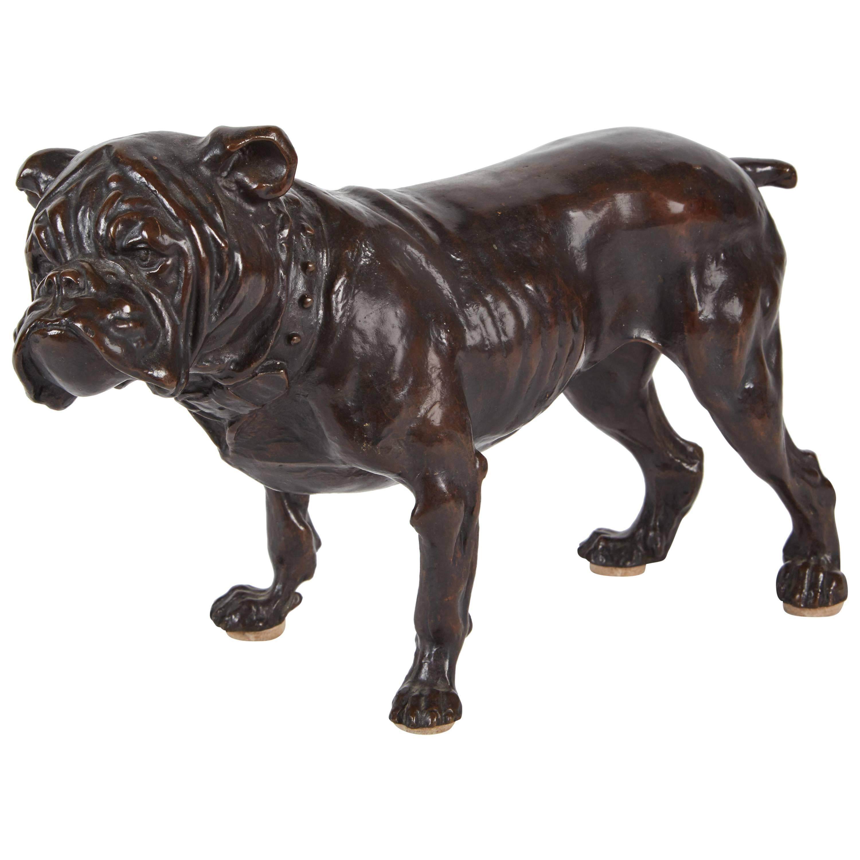 Early 20th Century English Bronze Bulldog 