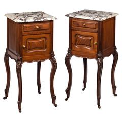 Pair of Late 19th Century Walnut Small Cupboards 12