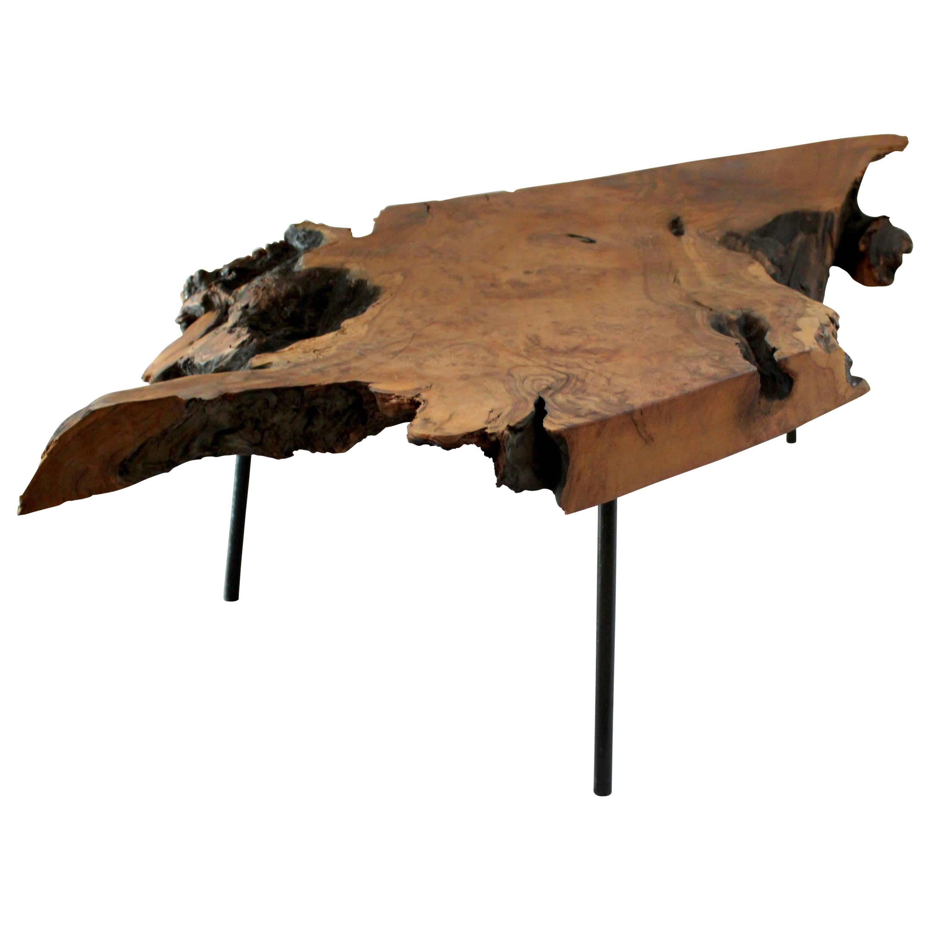Vintage Live-Edge Burl Slab Cocktail Table