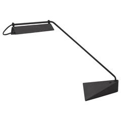 Adjustable Industrial Desk Task Lamp