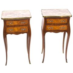 Antique Pair of Kingwood and Walnut Bedside Chests Cabinets, circa 1900