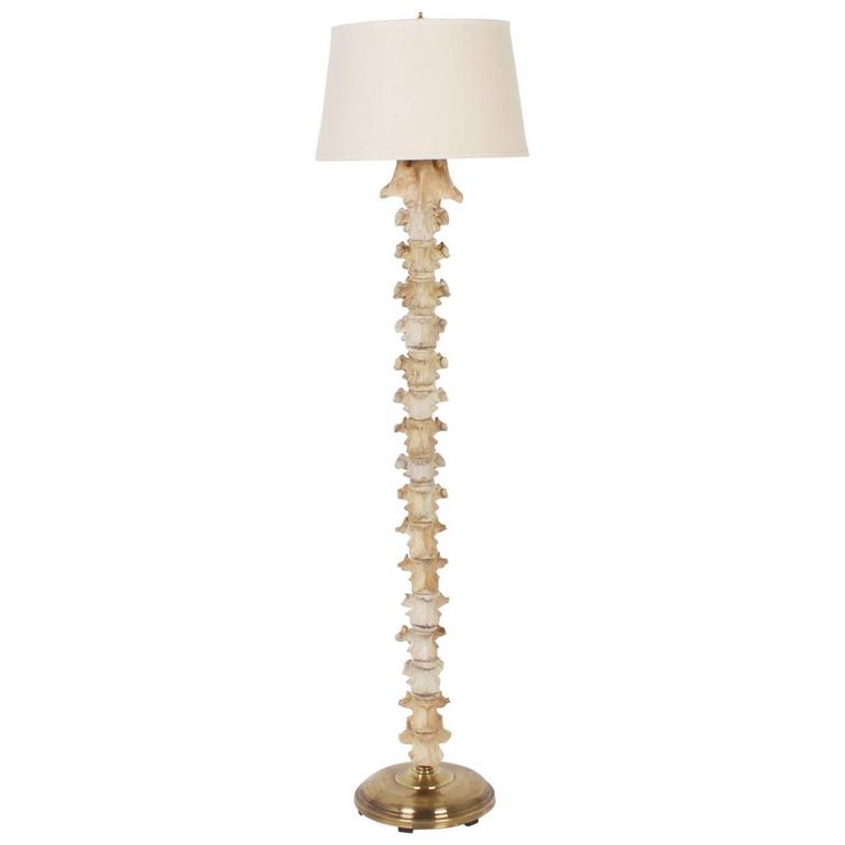 Rare Animal Vertebrae Floor Lamp For At 1stdibs Rare Animal Vertebrae Floor Lamp For