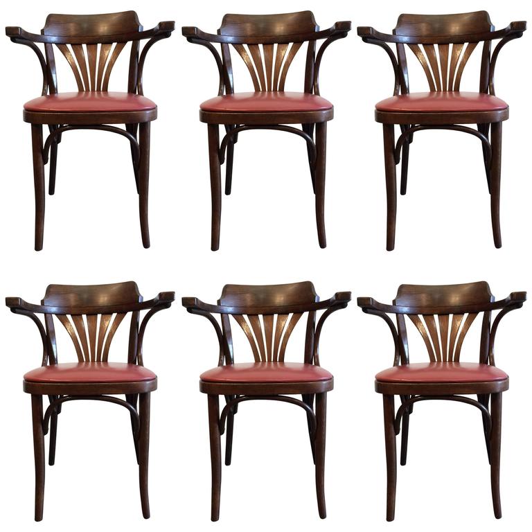 six bentwood chairs by drevounia czech republic 1950s for sale at