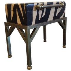 Hart Trunk Chest, Brass and Painted Zebra Pattern, Safari