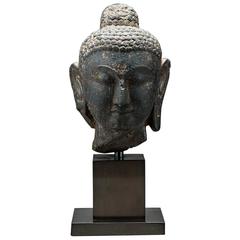 Antique Gupta Period Stone Head of the Buddha