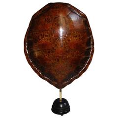Large 20th Century Sea Turtle Shell Shield on Stand