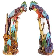 Unusual Pair of Rainbow Terracotta Majolica Porcelain Parrots