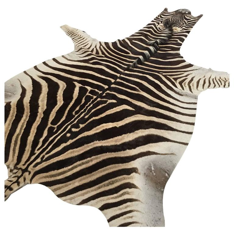 Zebra Hide Rug at 1stDibs