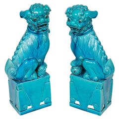 Great Pair of Chinese Tuquoise Ceramic Foo Dogs