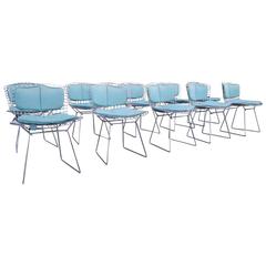 Harry Bertoia Chairs with Frame of Chromed Steel