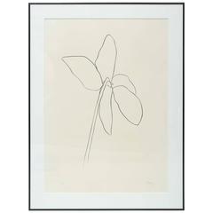 Ellsworth Kelly "Cyclamen" 11