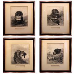 Set of Four 19th Century English Hunting Dog Print Engravings