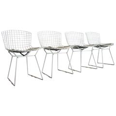 Four Bertoia Chairs with Original Knoll Cushions, Usa, 1960s