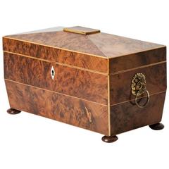 Antique Mid-19th Century Yew Wood Tea Caddy Box from England