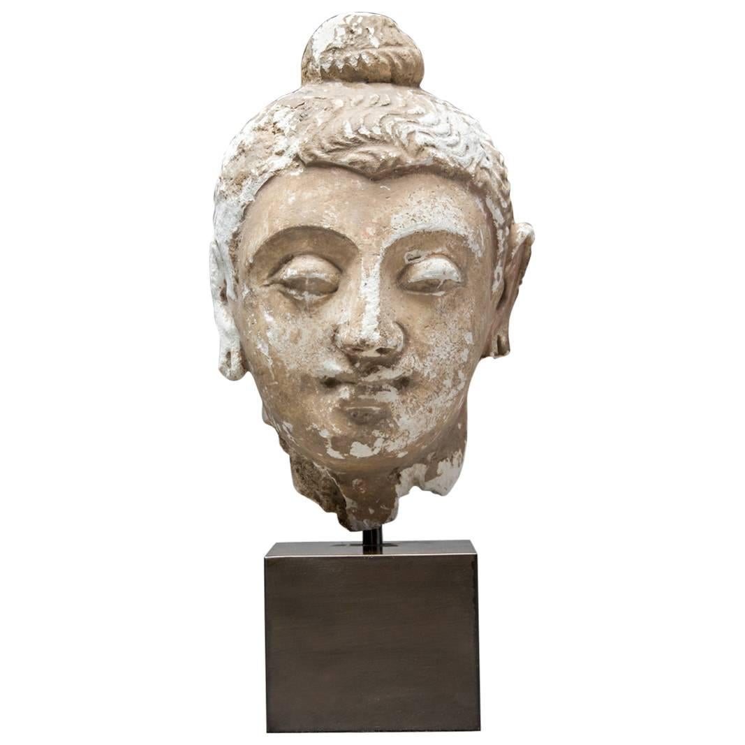 2nd Century Gandharan Stucco Buddha Head For Sale