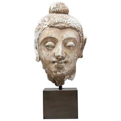 2nd Century Gandharan Stucco Buddha Head