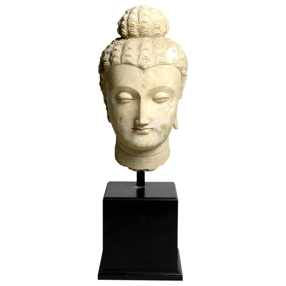 5th Century Gandharan Stucco Head of the Buddha For Sale