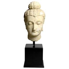 5th Century Gandharan Stucco Head of the Buddha