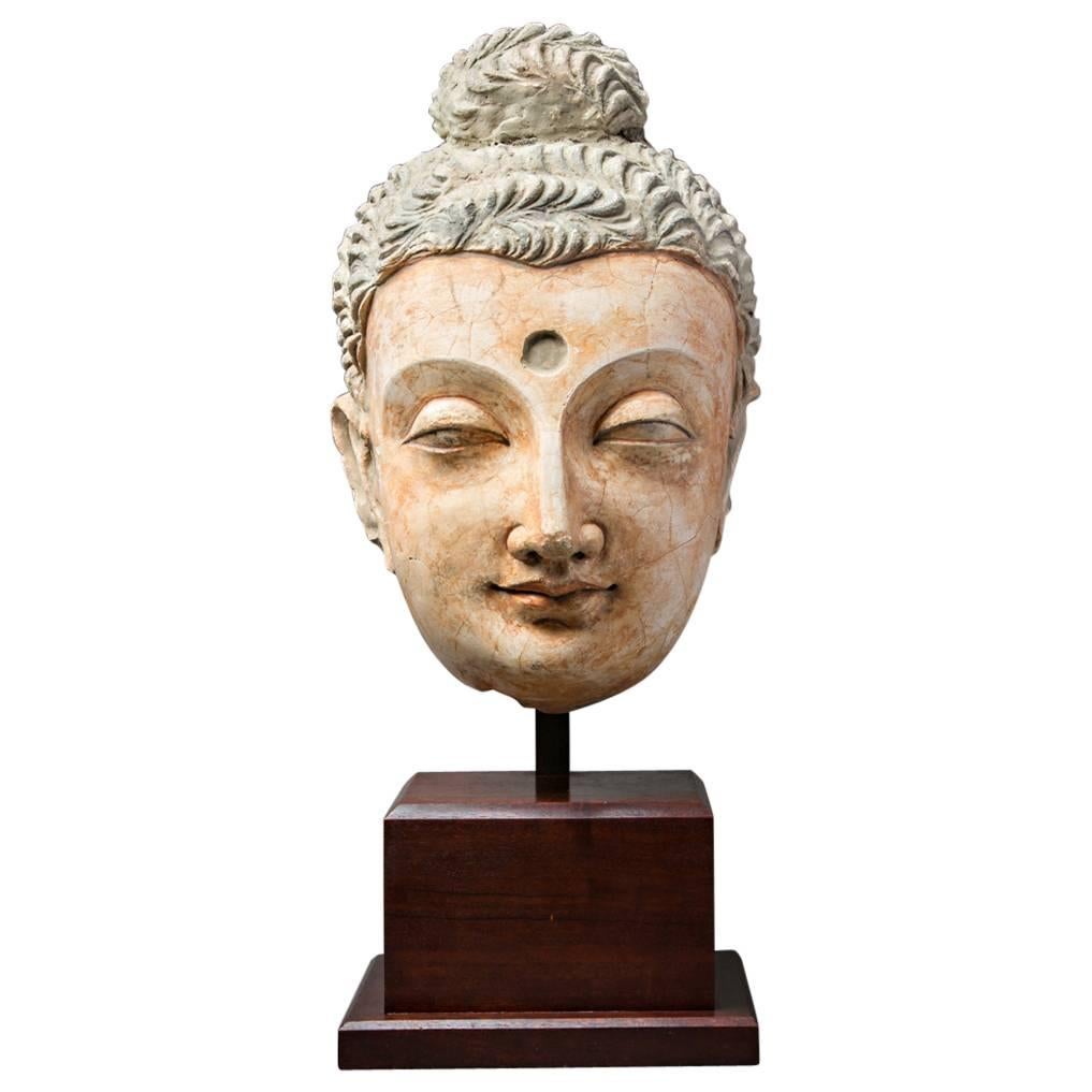 Gandharan Large Polychromed Buddha Head For Sale