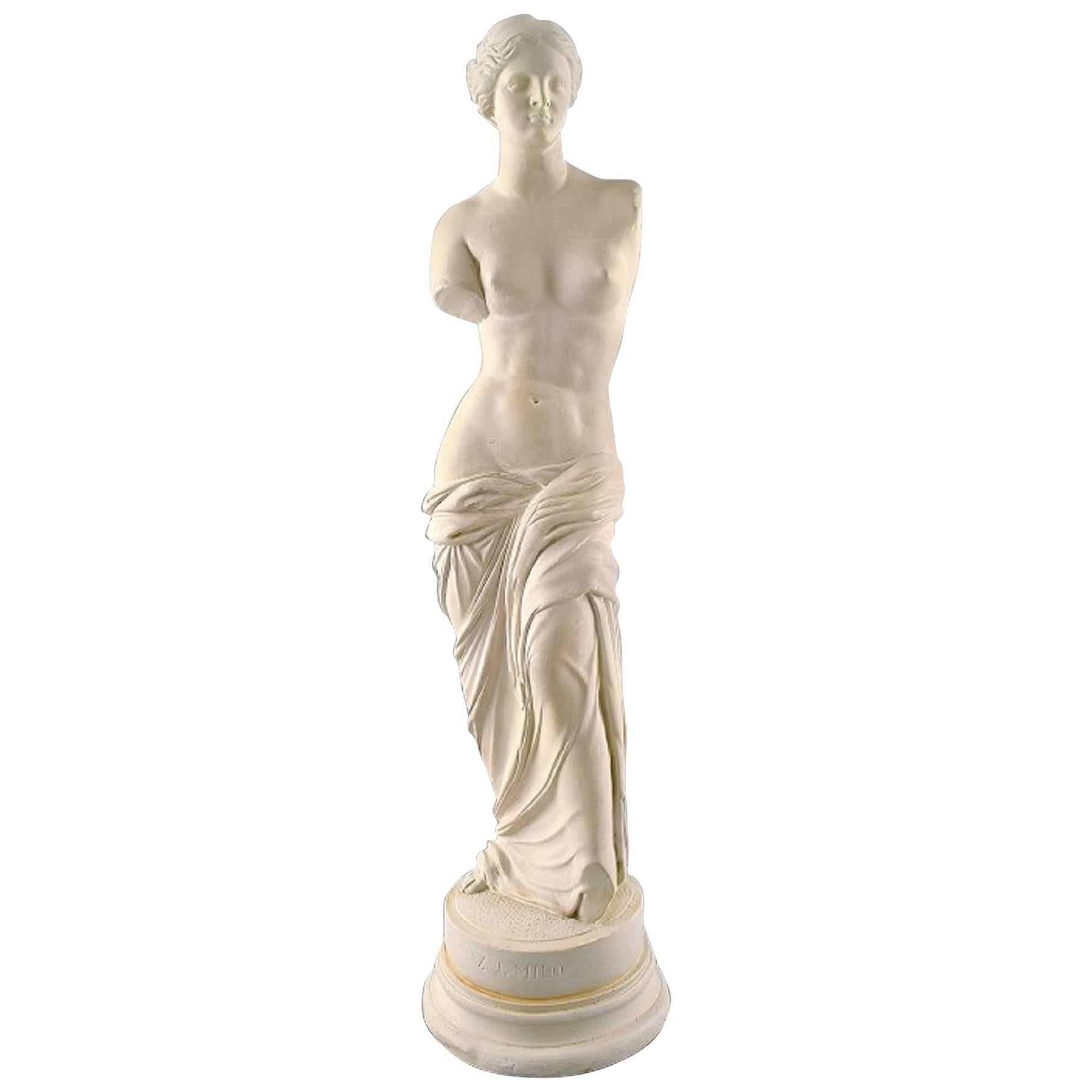 Venus de Milo Sculpture in Plaster, Early 20 Century