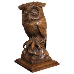 Antique Early 20th Century Carved Oak Owl, Rare and Symbol of Learning & Wisdom