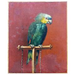 19th Century Oil Painting Parrot
