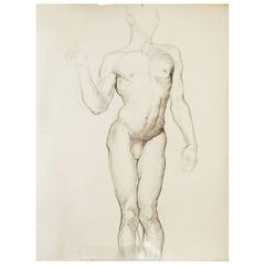 "Male Nude with Cocked Pelvis, " Superb 1930s Drawing by Dunbar Beck