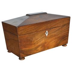 19th Century English Tea Caddy