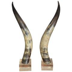 Pair of Horns on Lucite