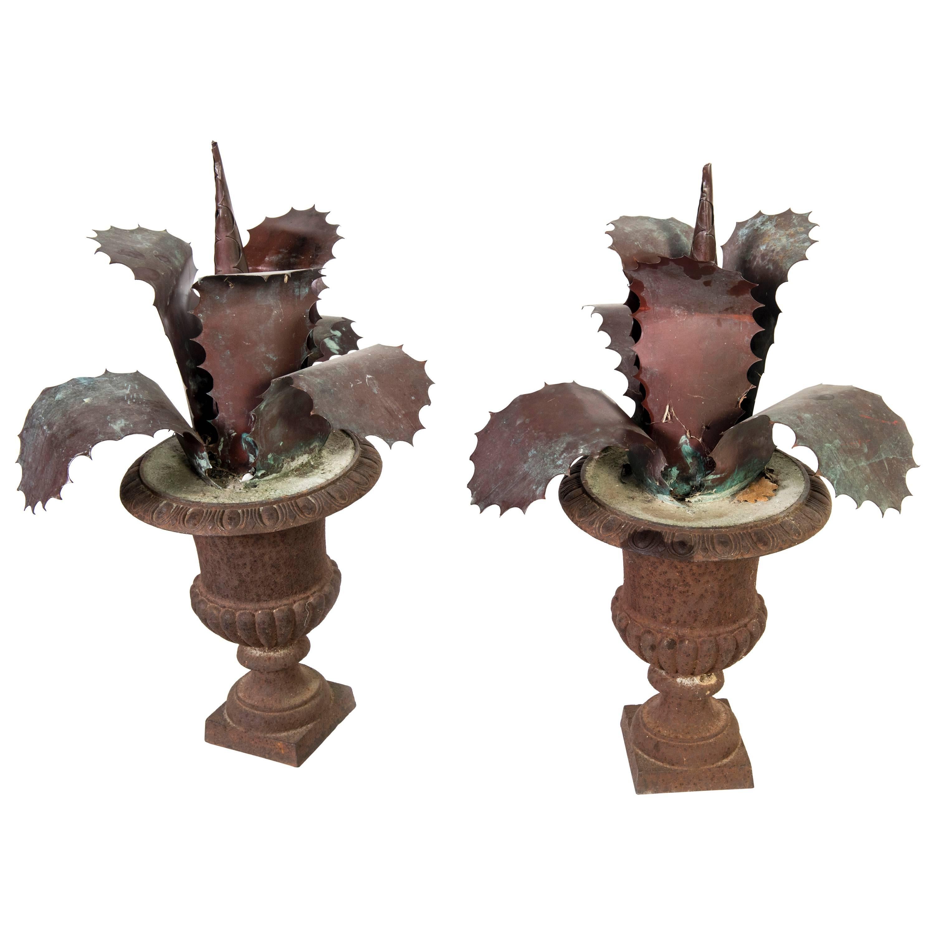 Pair of Zinc Agave
s in Bronze Urns