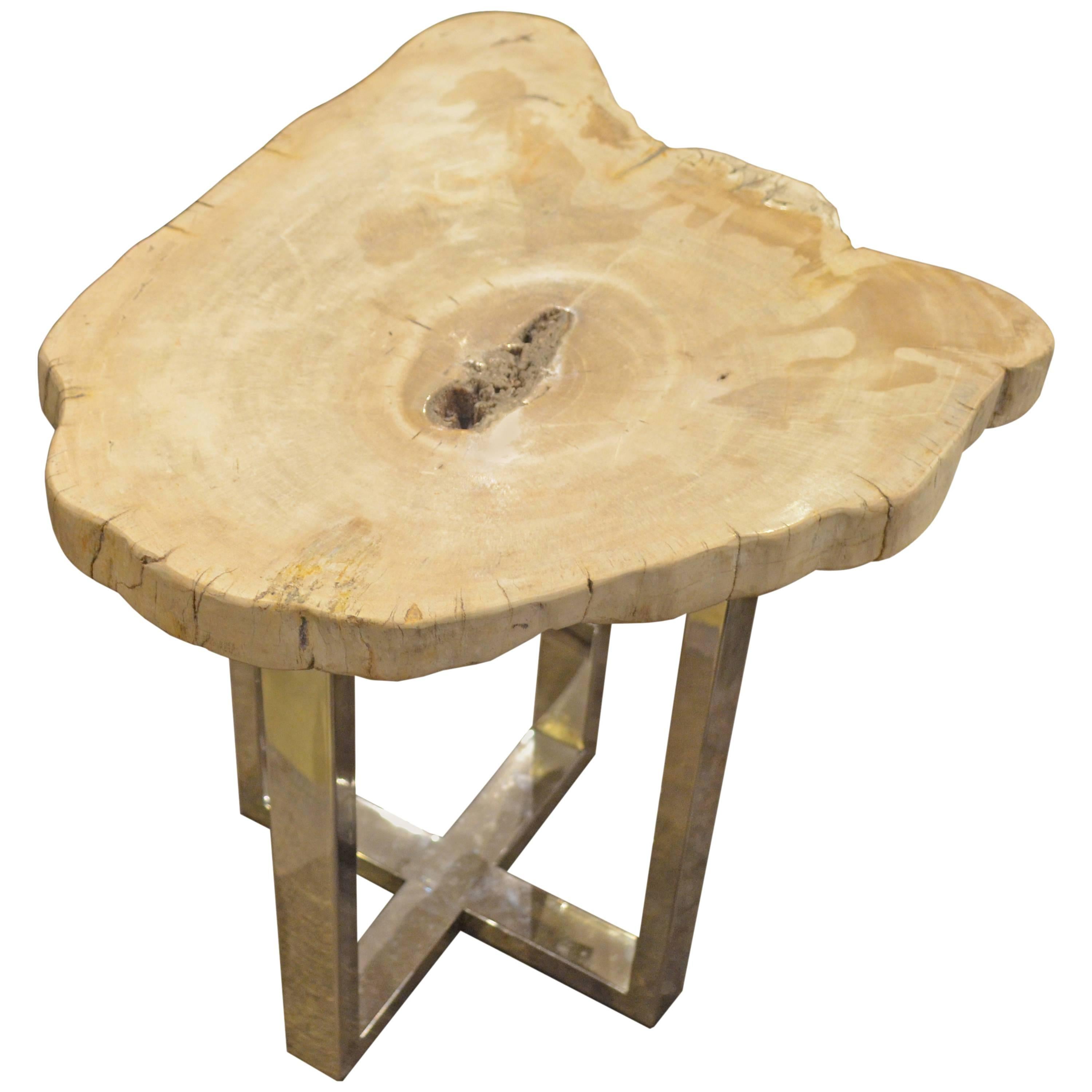 Andrianna Shamaris Petrified Wood Side Table For Sale