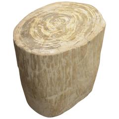 Andrianna Shamaris Petrified Wood Side Table Andrianna Shamaris Petrified Wood Side Table