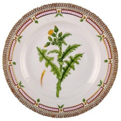 Royal Copenhagen Flora Danica Dinner Plate