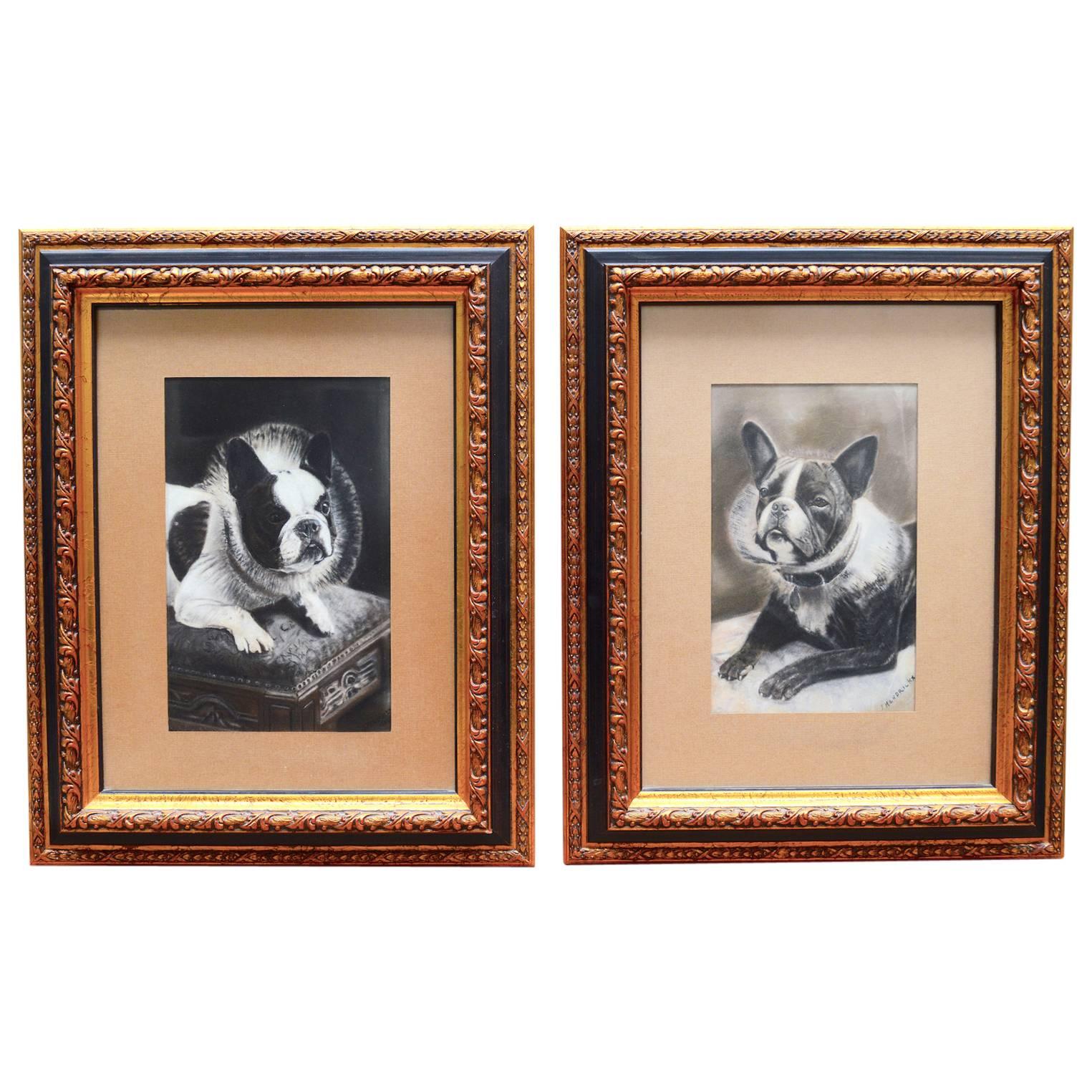 Pair of Grisaille Drawings on Paper of French Bulldogs
