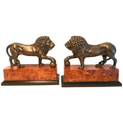 Pair of Monumental Brass Lion Bookends