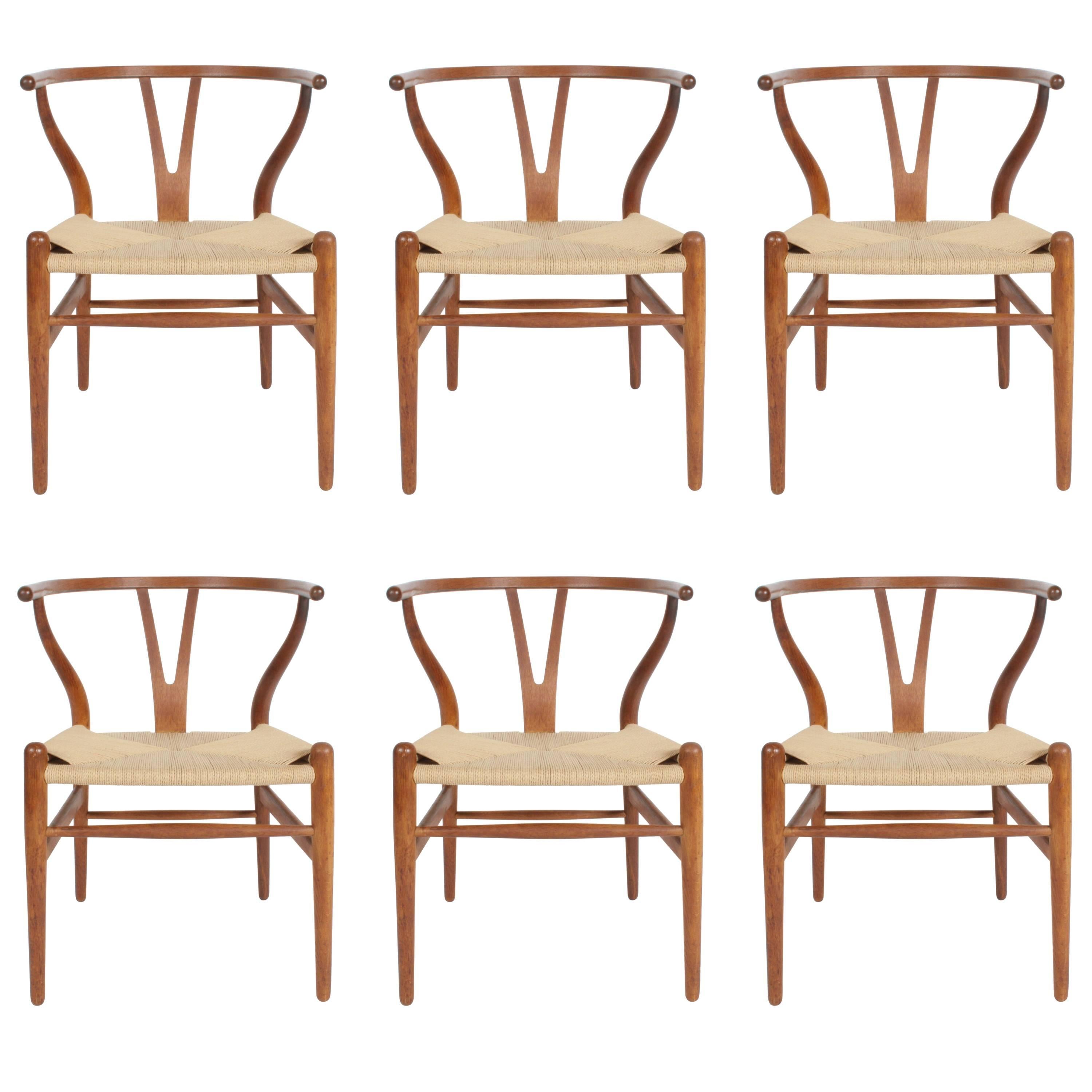 Hans Wegner Set of Six Wishbone CH-24 Dining Chairs for Carl Hansen