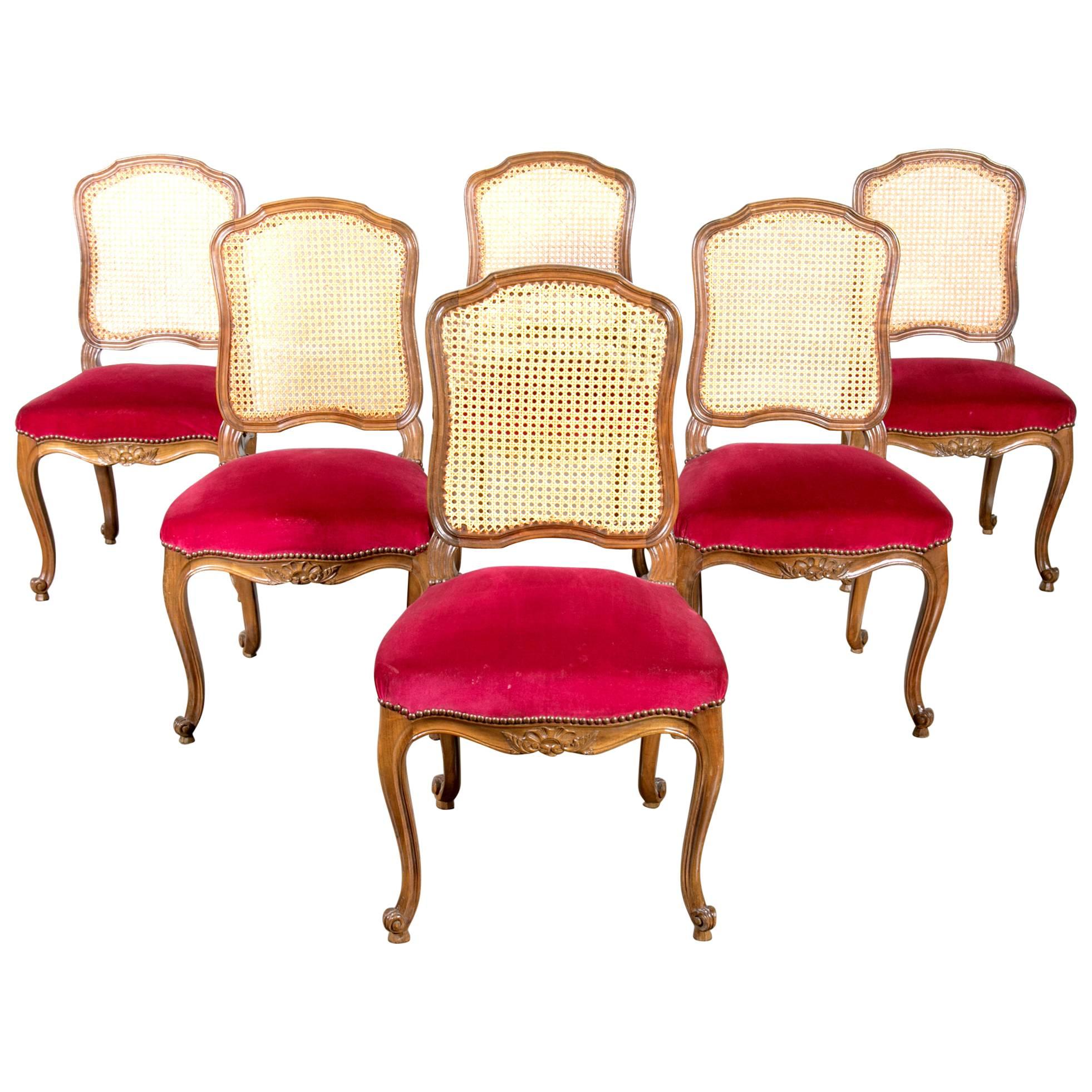 Set of Six 19th Century Antique French Louis XV Cane Back Dining Chairs