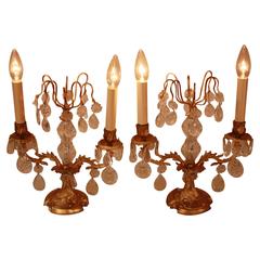 French Bronze and Crystal Candelabra Lamps